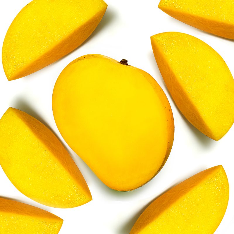 barretta biologica con mango